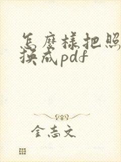 怎么样把照片转换成pdf