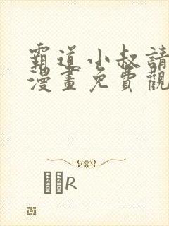 霸道小叔请轻撩漫画免费观看下拉式