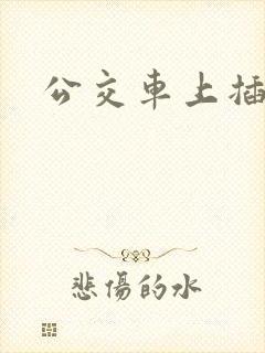 公交车上插小说