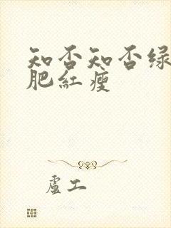 知否知否绿是应肥红瘦
