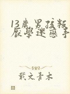 13岁男孩叛逆厌学迷恋手机怎么办