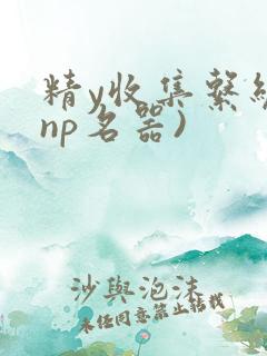 精y收集系统(np名器)