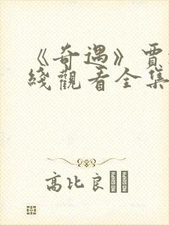 《奇遇》贾冰在线观看全集