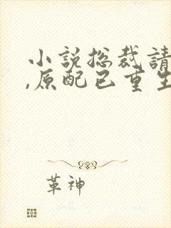 小说总裁请勿扰,原配已重生全文阅读
