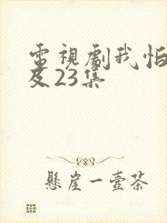 电视剧我怕来不及23集