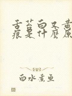 舌苔白又黄有齿痕是什么原因