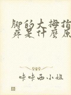 脚的大拇指关节疼是什么原因引起的