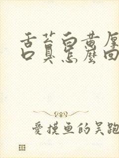 舌苔白黄厚口苦口臭怎么回事