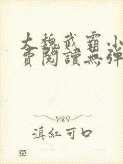 大魏武霸小说免费阅读无弹窗