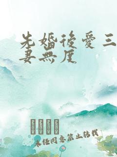 先婚后爱三少宠妻无度