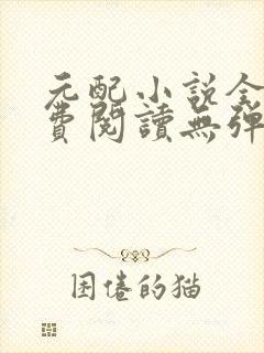 元配小说全文免费阅读无弹窗