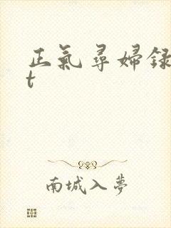正气寻妇录txt