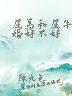属马和属牛的结婚好不好