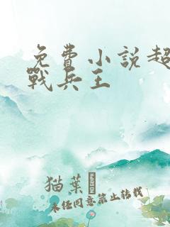 免费小说超级特战兵王