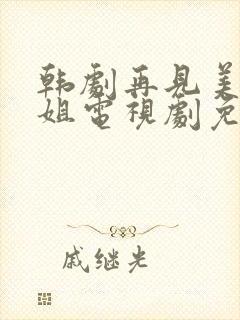 韩剧再见美丽小姐电视剧免费观看