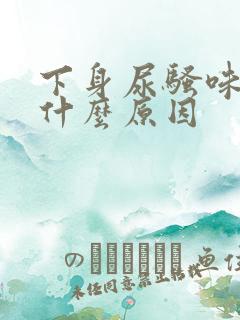 下身尿骚味重是什么原因