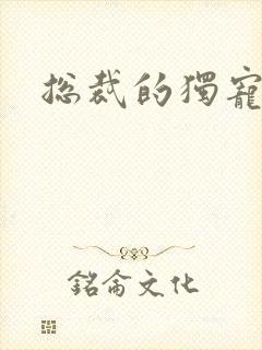 总裁的独宠