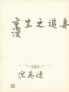 重生之追妻路漫漫