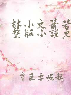 林小文萧若玲完整版小说免费阅读