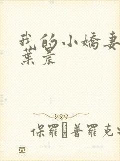 我的小娇妻霍昊叶晨