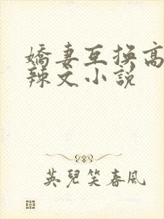 娇妻互换高h黄辣文小说