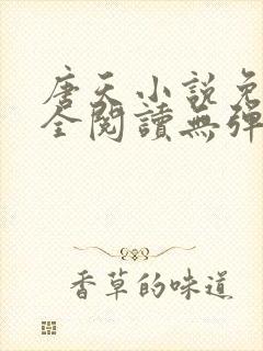 唐天小说免费大全阅读无弹窗