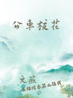 公车校花
