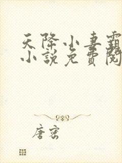 天降小妻霸道宠小说免费阅读
