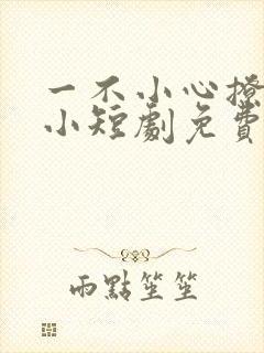 一不小心撩错人小短剧免费看