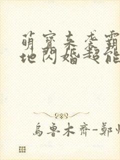 萌宝来袭霸总爹地闪婚超能妈咪
