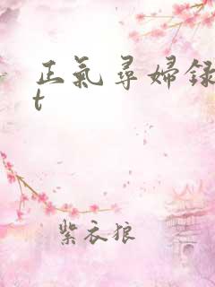 正气寻妇录txt