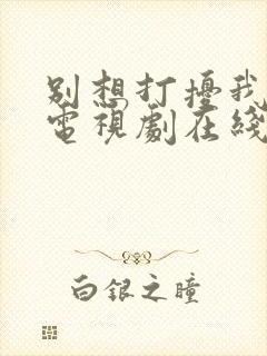 别想打扰我学习电视剧在线播放