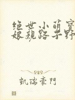 绝世小萌宝神医娘亲路子野