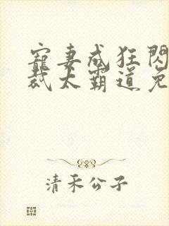 宠妻成狂闪婚总裁太霸道免费阅读全文