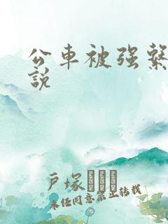 公车被强系列小说