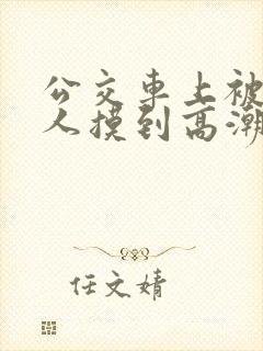 公交车上被陌生人摸到高潮