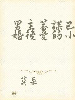 男主蓄谋已久先婚后爱的小甜文
