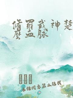 修罗武神楚枫什么血脉