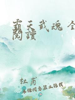 霸天武魂 全文阅读