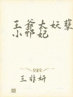 王爷太妖孽独宠小邪妃
