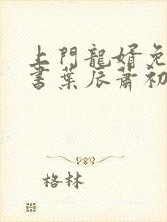 上门龙婿免费听书叶辰萧初然