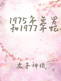 1975年兔男和1977年蛇女婚配