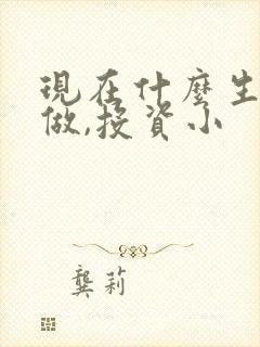 现在什么生意能做,投资小