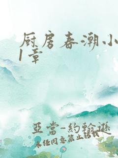 厨房春潮小说第1章