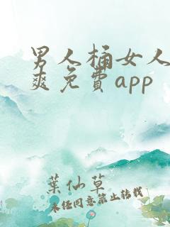 男人桶女人桶到爽免费app