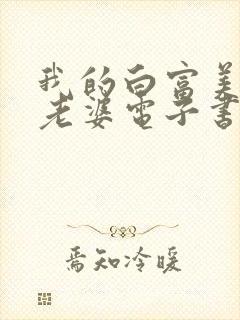 我的白富美总裁老婆电子书