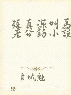 张真源叫马嘉祺老公的小说