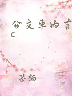 公交车内有多高c