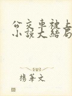 公交车被上高潮小说大结局