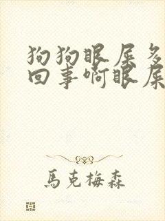 狗狗眼屎多怎么回事啊眼屎黄粘稠怎么回事